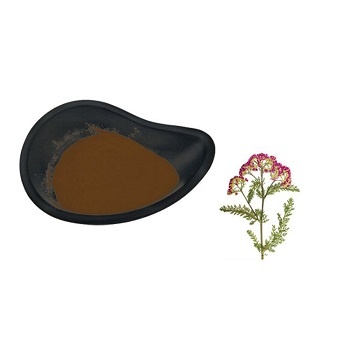 Yarrow Extract/ Achillea Millefolium Extract