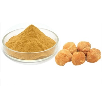 Organic Mushroom Extract