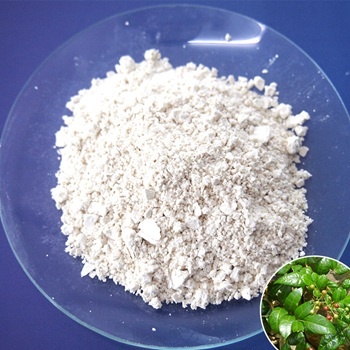 Dihydromyricetin